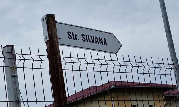 Atenție! Primăria Dumbrăvița instituie sens unic pe încă două străzi din comună