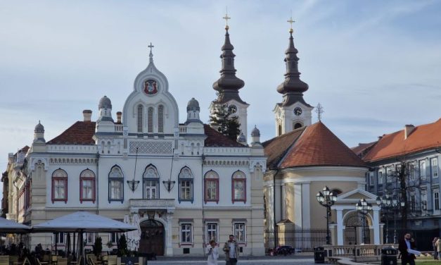 Săptămâna aceasta timișenii vor avea șansa să redescopere județul, în cadrul programului dedicat Zilei Județului 2024