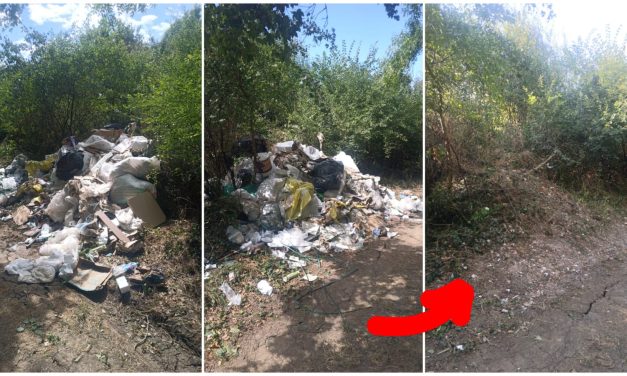 Sancțiune de 15.000 de lei pentru depozitare ilegală de deșeuri, pe liziera pădurii din Dumbrăvița
