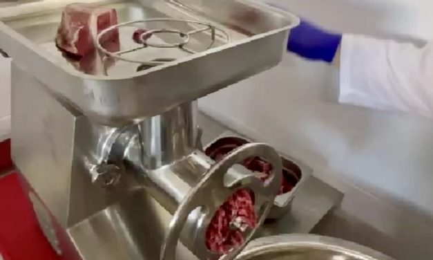 Rezultatele proiectului EIT Food RIS Consumer Engagement Labs 2024 vor fi prezentate la USV Timișoara