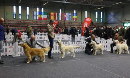 TIMIȘOARA Winter Trophy 2025, în Casa de Cultură & Sala Polivalentă DUMBRĂVIȚA