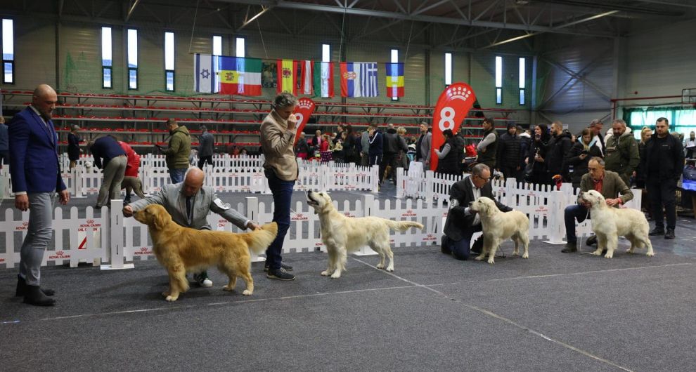 TIMIȘOARA Winter Trophy 2025, în Casa de Cultură & Sala Polivalentă DUMBRĂVIȚA