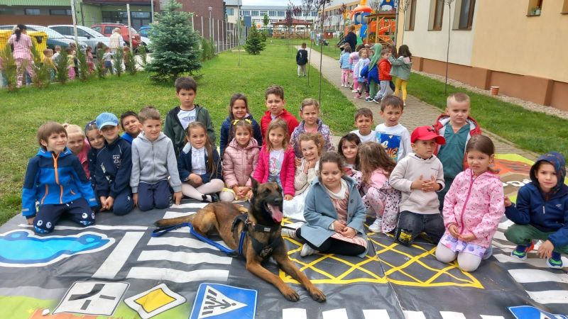 Mai multe grupe din cadrul Grădiniței P.P. Dumbrăvița au avut parte de o activitate specială, în parteneriat cu IPJ Timiș