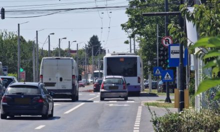 Autobuzul M49 va opri în Dumbrăvița și în stația „Amethyst”