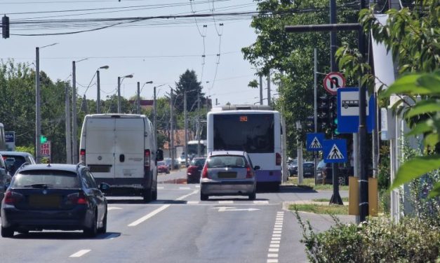 Autobuzul M49 va opri în Dumbrăvița și în stația „Amethyst”