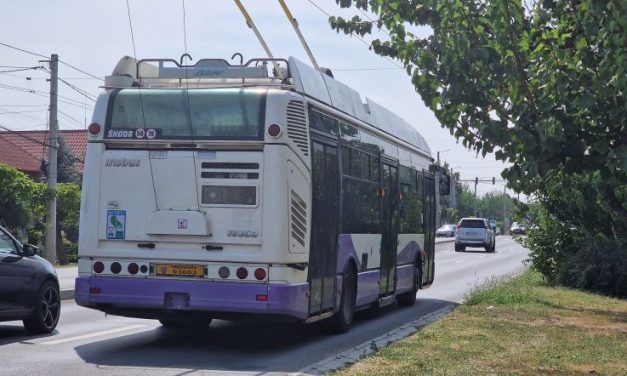 STPT prelungește programul unor linii de transport public cu ocazia evenimentului Celebrarea Orașului