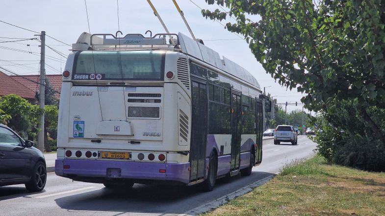 STPT prelungește programul unor linii de transport public cu ocazia evenimentului Celebrarea Orașului