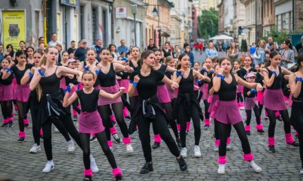 Încep înscrierile la Școala de Arte Timișoara pentru anul școlar 2025–2026 – Peste 150 de locuri sunt disponibile