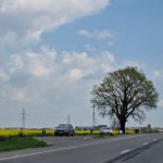 Șoseaua de centură de la marginea Dumbrăviței se lărgește la 4 benzi! DRDP a semnat contractul pentru elaborarea studiului de fezabilitate