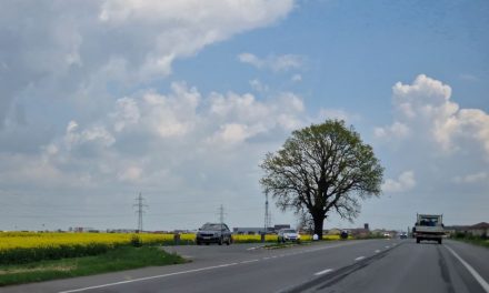Șoseaua de centură de la marginea Dumbrăviței se lărgește la 4 benzi! DRDP a semnat contractul pentru elaborarea studiului de fezabilitate