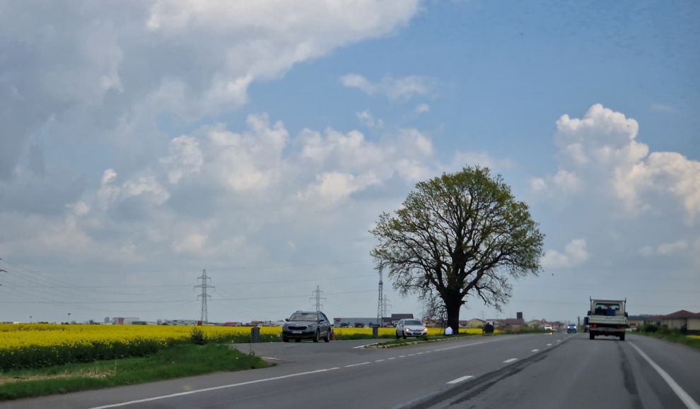 Șoseaua de centură de la marginea Dumbrăviței se lărgește la 4 benzi! DRDP a semnat contractul pentru elaborarea studiului de fezabilitate