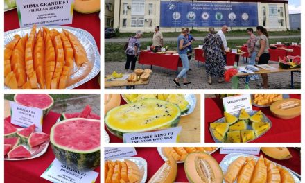 Ziua Internațională a Pepenilor, marcată la Agrovillage USVT