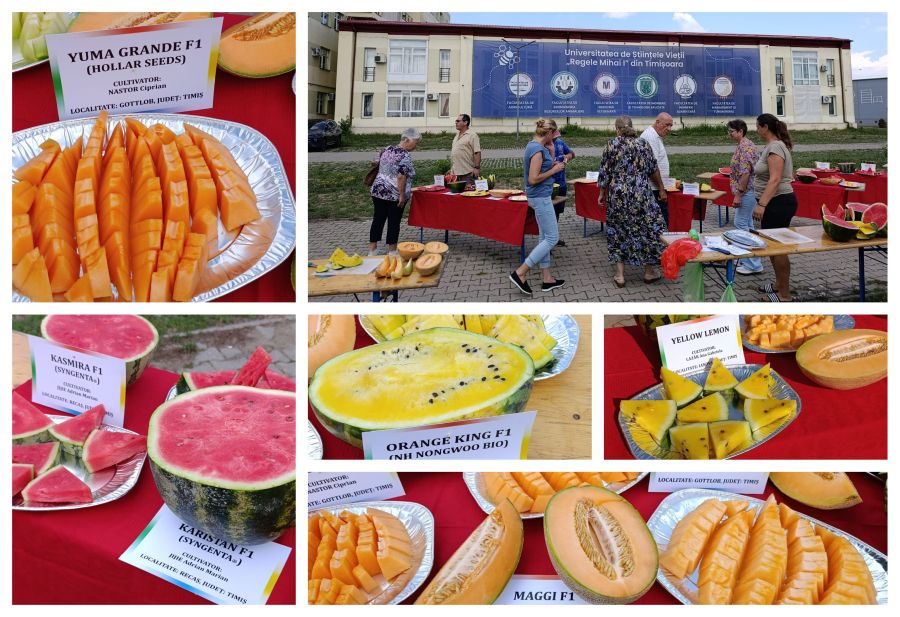 Ziua Internațională a Pepenilor, marcată la Agrovillage USVT