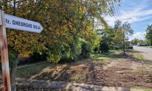 Primăria Dumbrăvița și PORR Construct au semnat contractul: Sistematizare rutieră pentru 16 străzi din comună