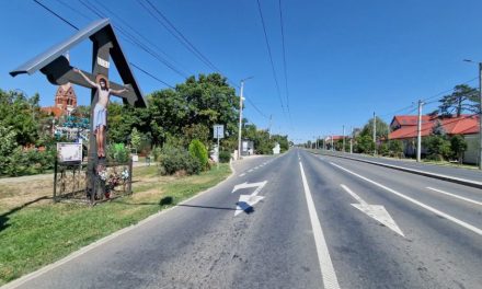 Cod galben de caniculă în județul Timiș