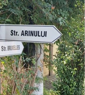 VIDEO – De luni se închide circulația rutieră pe strada Arinului