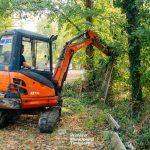 Timișoara redă natura oamenilor: spațiile verzi uitate devin locuri de relaxare și mișcare