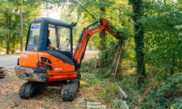 Timișoara redă natura oamenilor: spațiile verzi uitate devin locuri de relaxare și mișcare