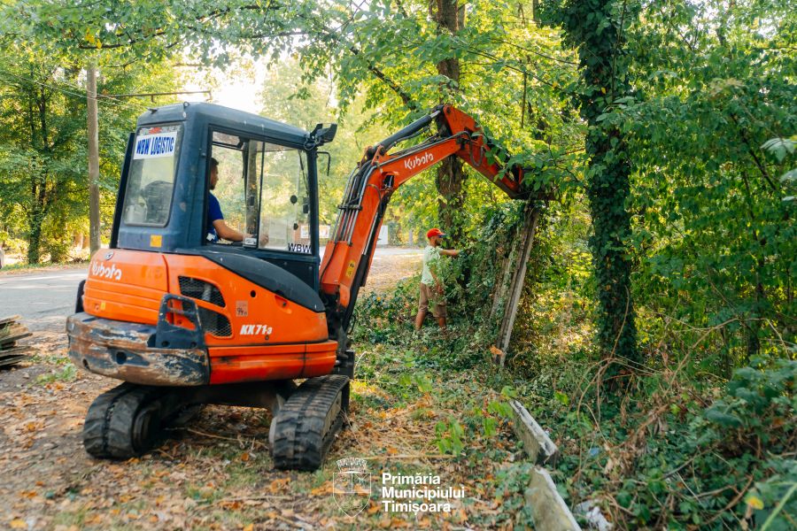 Timișoara redă natura oamenilor: spațiile verzi uitate devin locuri de relaxare și mișcare
