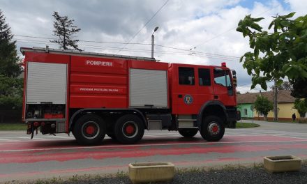ISU „Banat”: Zeci de incendii înregistrate în ultimul week-end de vară
