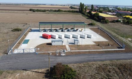 VIDEO – Continuă licitația pentru stabilirea administratorului CAV