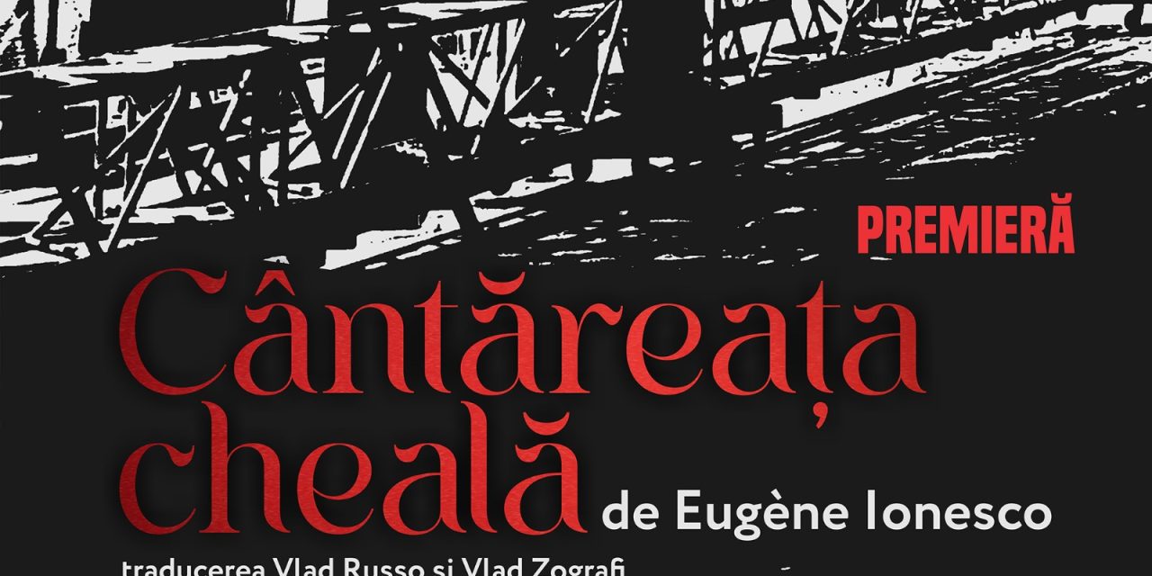 De Ziua Națională a României, Teatrul Național din Timișoara pregătește publicului său o experiență teatrală atipică