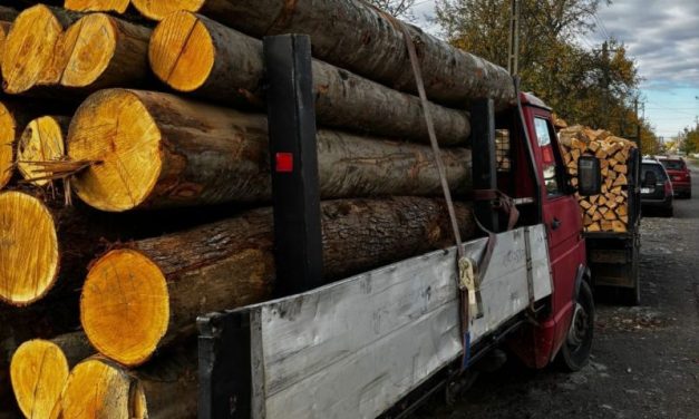 Material lemnos confiscat la Orțișoara – Polițiștii timișeni au descoperit două transporturi neconforme