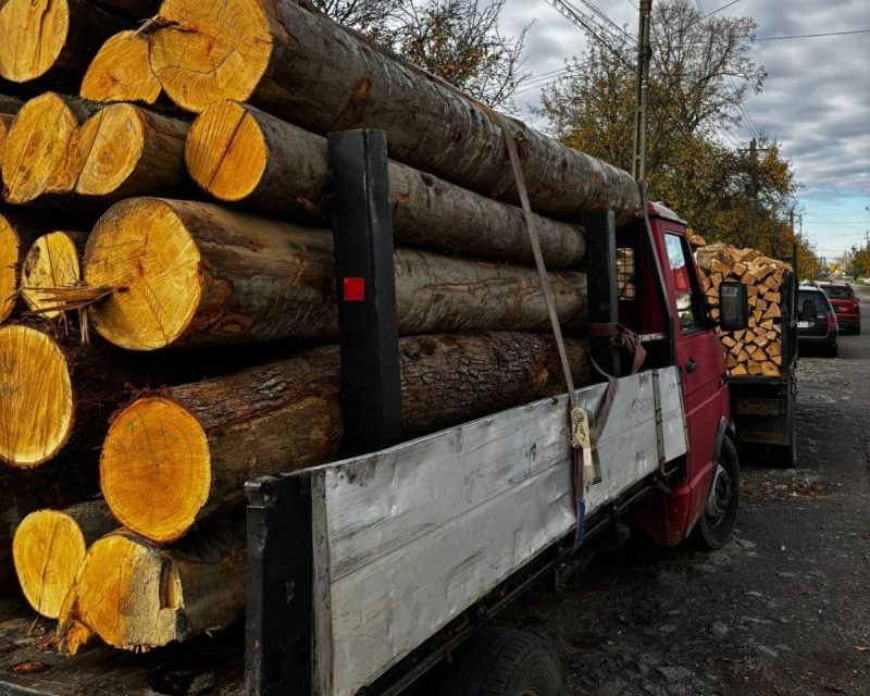 Material lemnos confiscat la Orțișoara – Polițiștii timișeni au descoperit două transporturi neconforme