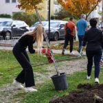 Primăria Dumbrăvița: În weekend, Parcul Nordic a devenit și mai verde — 40 de copaci noi îi vor înfrumuseța aleile