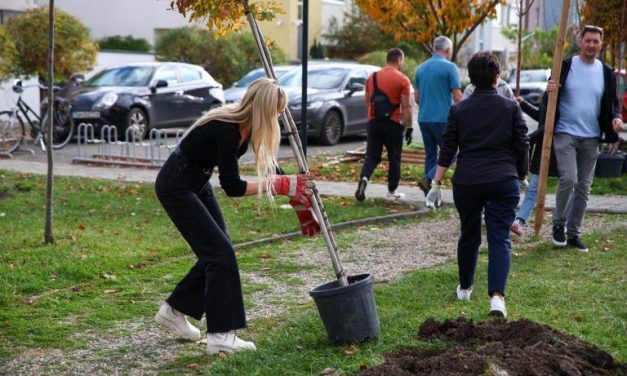 Primăria Dumbrăvița: În weekend, Parcul Nordic a devenit și mai verde — 40 de copaci noi îi vor înfrumuseța aleile