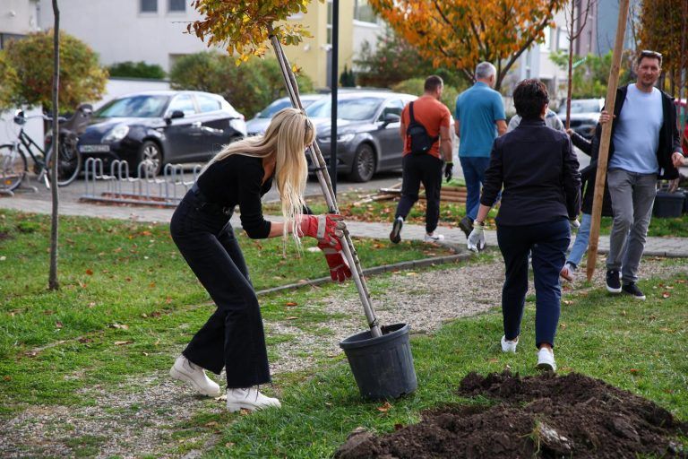 Primăria Dumbrăvița: În weekend, Parcul Nordic a devenit și mai verde — 40 de copaci noi îi vor înfrumuseța aleile