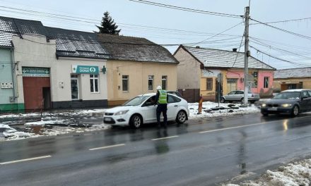 Bilanț IPJ Timiș în minivacanța de Revelion: 319 sancțiuni aplicate