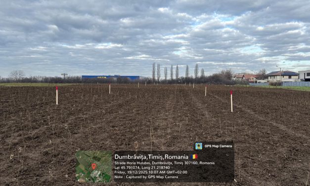 Premieră verde în Timișoara: USVT înființează prima pădure urbană din oraș, printr-o investiție PNRR