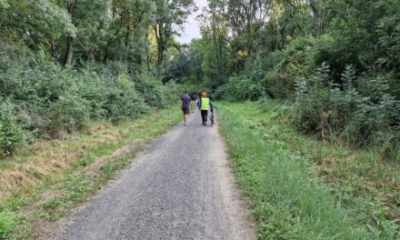 Accesibil și plăcut pentru plimbări, relaxare și activități în aer liber! Acord pentru amenajarea Pădurii Verzi ca pădure-parc
