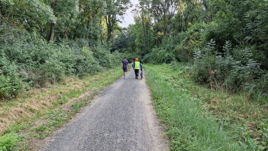 Accesibil și plăcut pentru plimbări, relaxare și activități în aer liber! Acord pentru amenajarea Pădurii Verzi ca pădure-parc