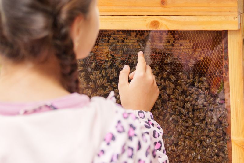 Elevii din vestul țării descoperă magia STEAM prin 17 proiecte Științescu