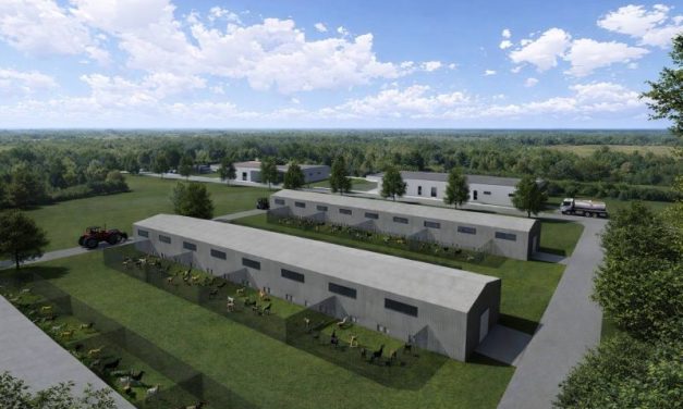 Nu doar pentru câini! Primul adăpost al CJT va salva și animalele de talie mare de la abandon