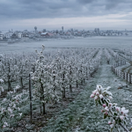 ALERTĂ BANAT: Răcire accentuată și ploi însemnate. Se întoarce iarna în Munții Banatului