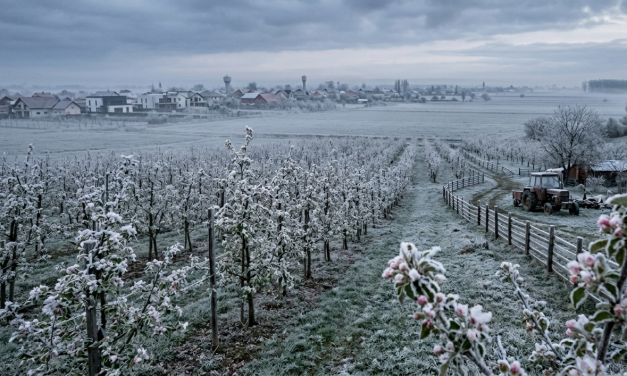 ALERTĂ BANAT: Răcire accentuată și ploi însemnate. Se întoarce iarna în Munții Banatului