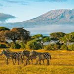 România conectată cu America de Nord, America Centrală și Asia prin zboruri charter cu aeronave Dreamliner