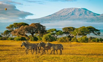 România conectată cu America de Nord, America Centrală și Asia prin zboruri charter cu aeronave Dreamliner