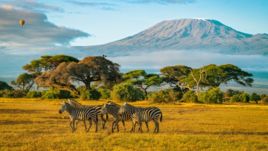 România conectată cu America de Nord, America Centrală și Asia prin zboruri charter cu aeronave Dreamliner