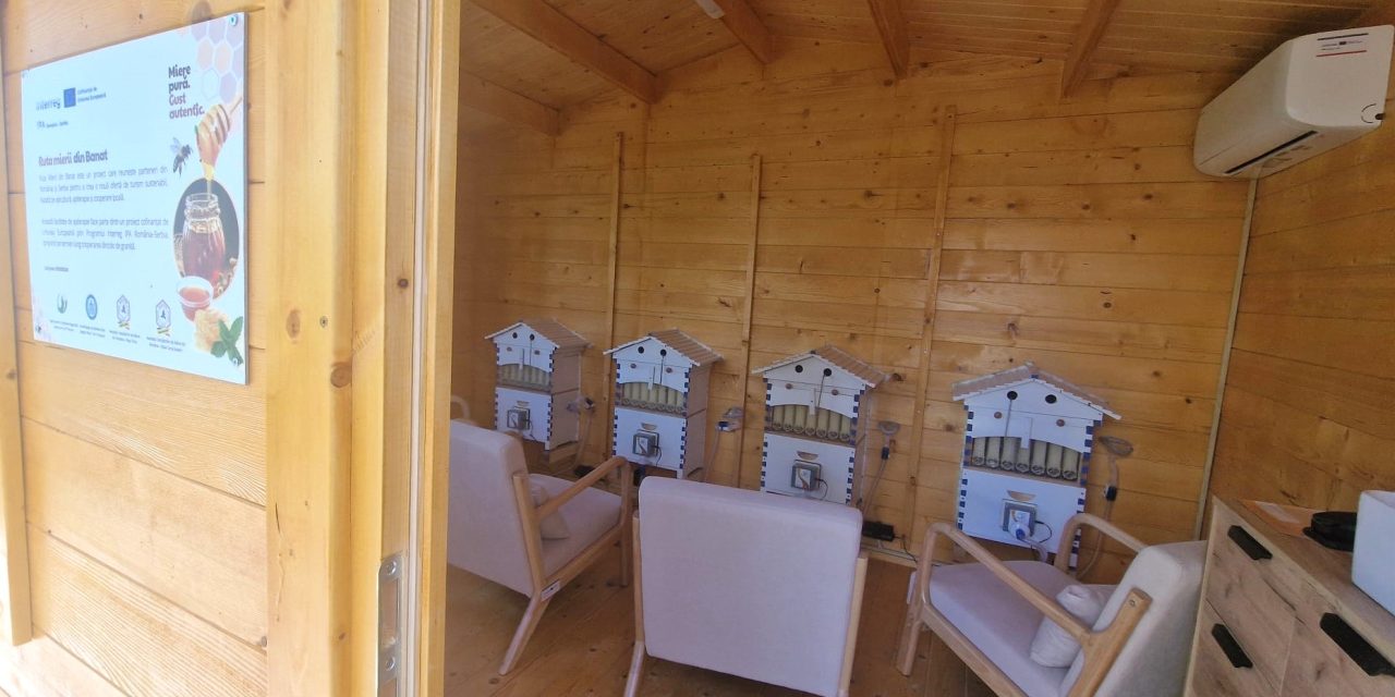 Banatul devine „hub” european pentru apiterapie: S-a lansat Ruta Mierii, traseul care vindecă prin aerul din stup