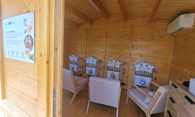 Banatul devine „hub” european pentru apiterapie: S-a lansat Ruta Mierii, traseul care vindecă prin aerul din stup