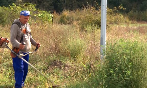 Anunț important pentru proprietarii de terenuri din Dumbrăvița: Acțiunile de verificare încep pe 25 mai