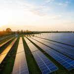 Universitatea de Științele Vieții „Regele Mihai I” Timișoara își construiește propria centrală fotovoltaică de 2,10 MW