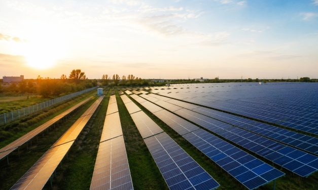Universitatea de Științele Vieții „Regele Mihai I” Timișoara își construiește propria centrală fotovoltaică de 2,10 MW