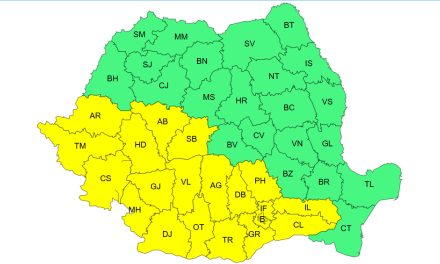 Cod Galben de vijelii și ploi torențiale în Timiș