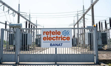Rețele Electrice Banat, apel către consumatori în plină caniculă
