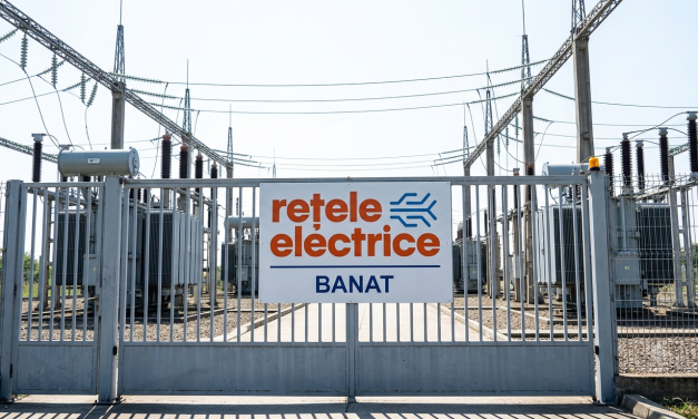 Rețele Electrice Banat, apel către consumatori în plină caniculă